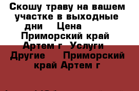 Скошу траву на вашем участке(в выходные дни) › Цена ­ 400 - Приморский край, Артем г. Услуги » Другие   . Приморский край,Артем г.